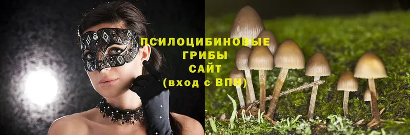 где продают наркотики  Амурск  Галлюциногенные грибы GOLDEN TEACHER 